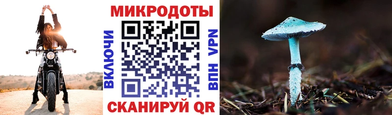 Купить где Бокситогорск Псилоцибиновые грибы MAGIC MUSHROOMS