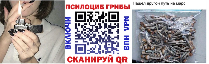 Галлюциногенные грибы Magic Shrooms Бокситогорск