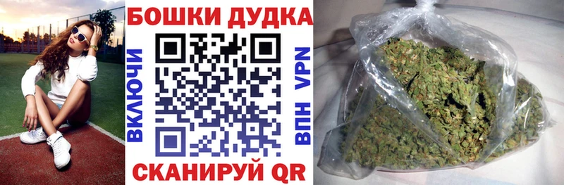 Купить закладки  Бокситогорск  Бошки Шишки сатива 